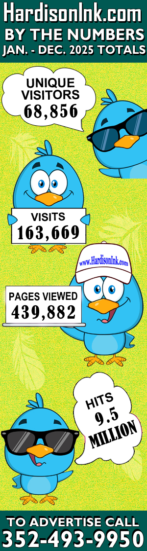 Traffic to Website cPanel Independent Review