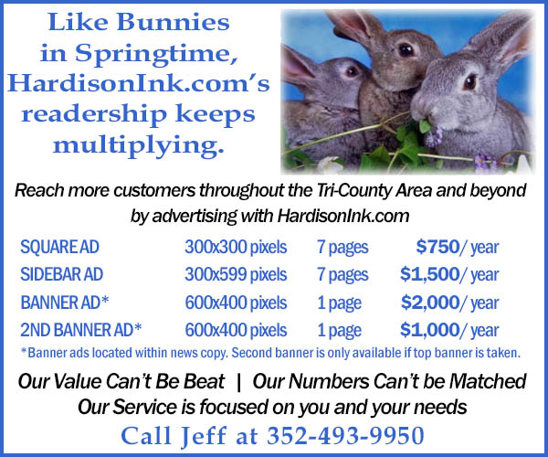 Buy An Ad On HardisonInk.com