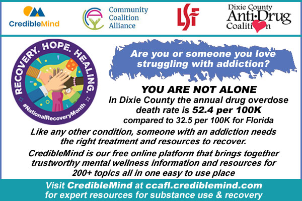 Dixie County Anti-Drug Coalition Ad On HardisonInk.com