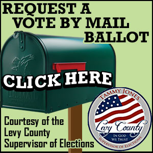 Request a vote by mail ballot