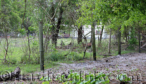 Road Blocked and Closes In Property HardisonInk.com