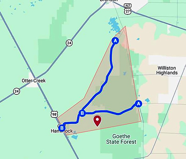 Fire and Smoke in Levy County HardisonInk.com