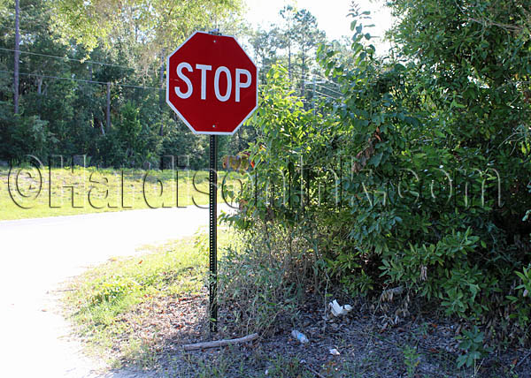 Missing Road SIgn HardisonInk.com