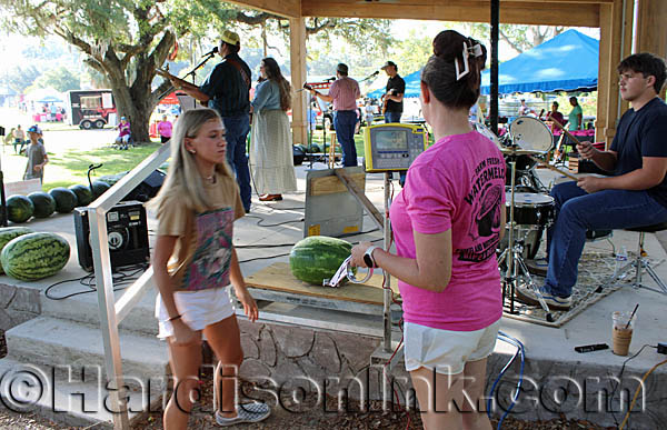 Cheifland Watermelon HardisonInk.com